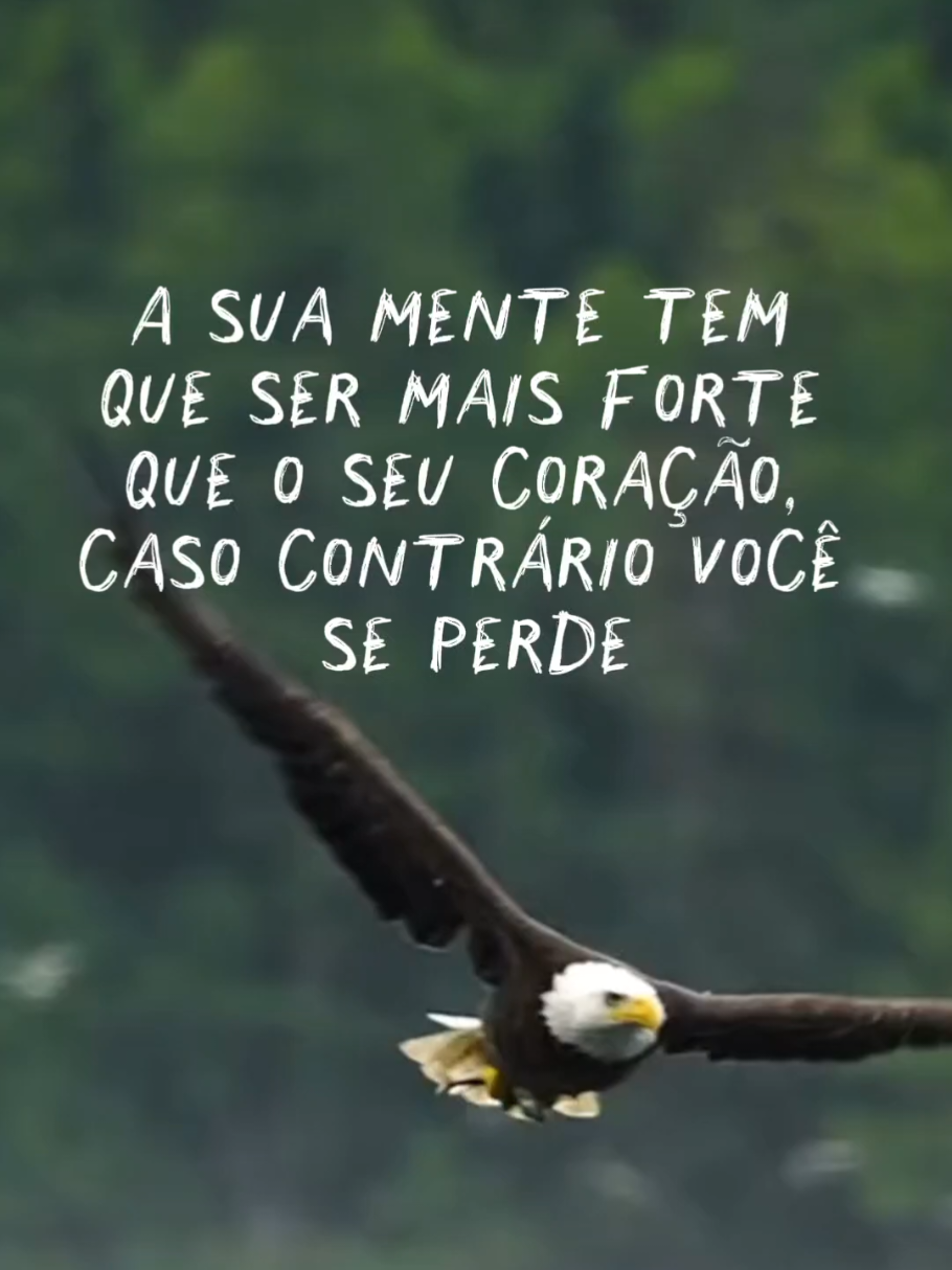 bom dia!  #voealto🦅 #reflexões #mensagemdemotivação #pensamentododia #inspiração #fy #statusdehoje🔥 