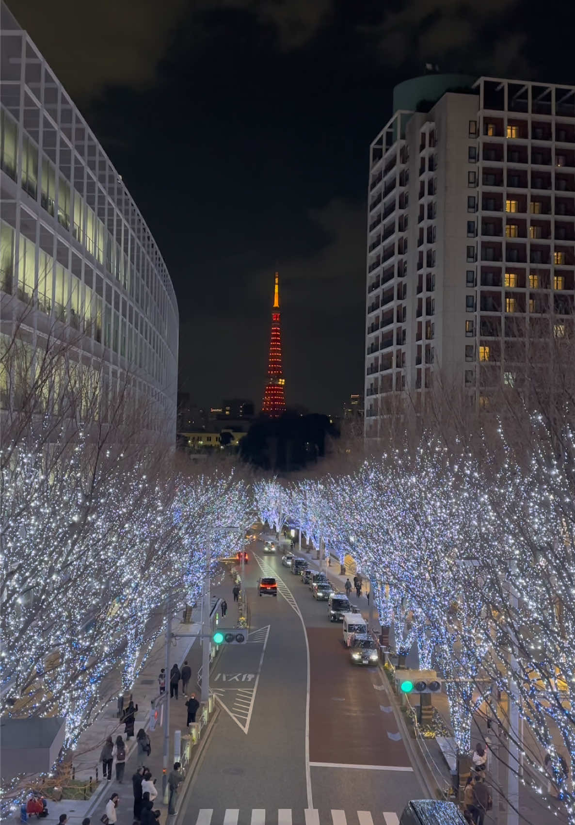 🎉 新春おめでとう！🐍 蛇年、最高の運気がみんなに訪れますように！✨   今年ももっと良い年にしていこうね！💫   東京タワーと一緒に新しいスタートを切る瞬間、みんなも感じてる？😉💖   #東京タワー #東京 #除夕 #新春おめでとう #蛇年 #foryou#foryoupage #JapanTravel #fyp #アニメ #TokyoDreams #hny 