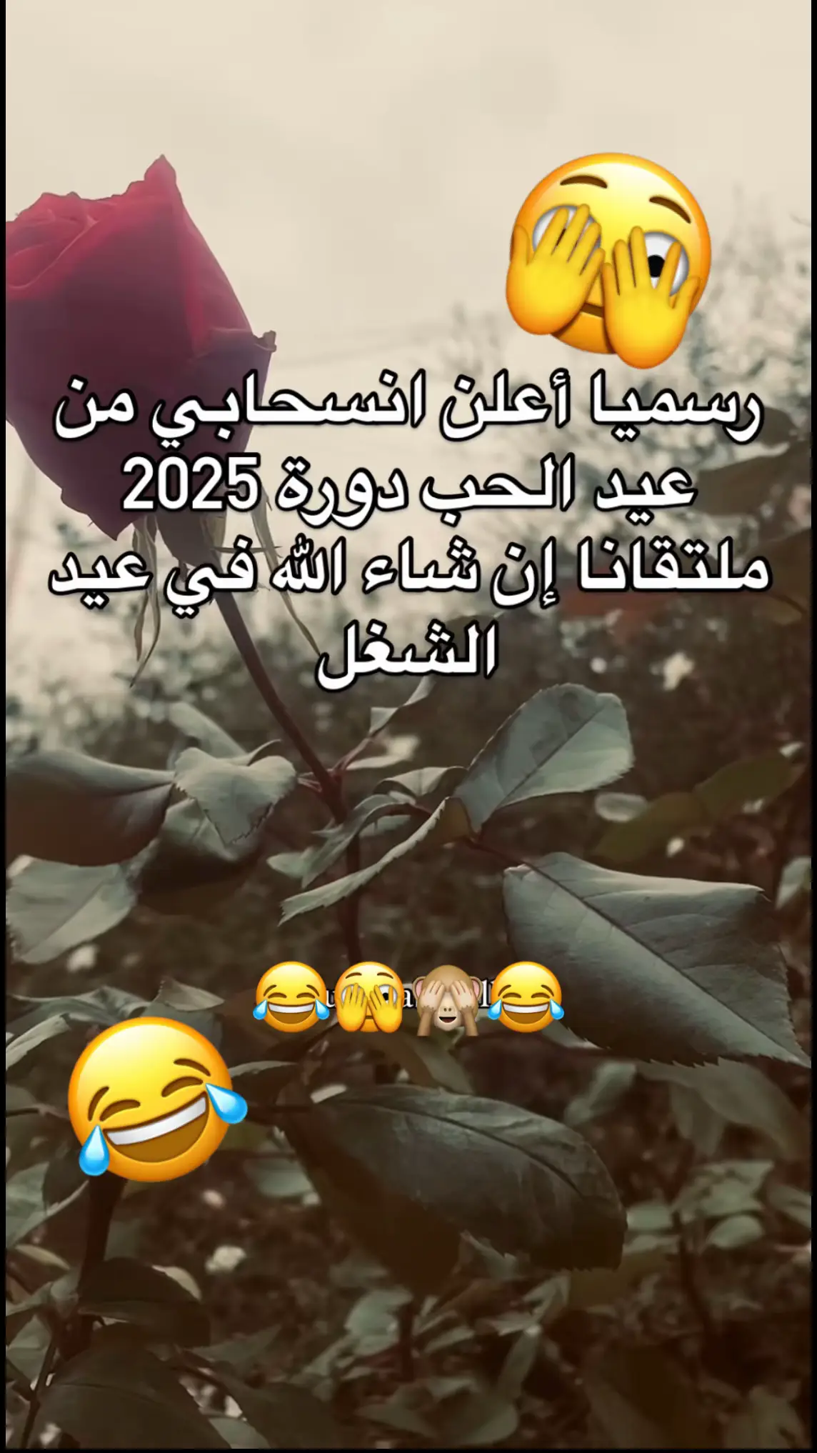 عيد الحب شو 🫣😂♥️