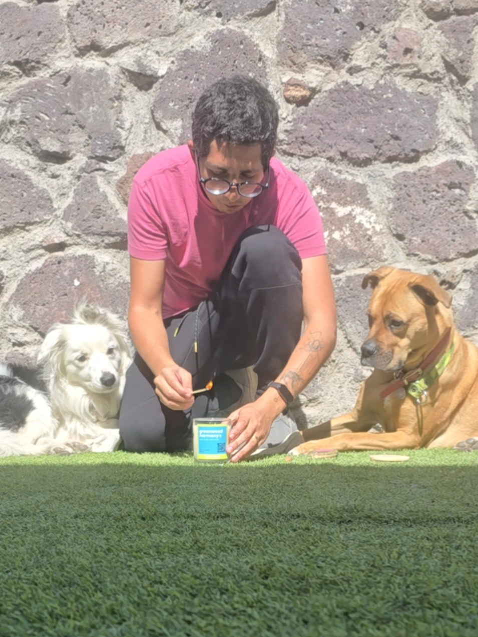 Nuestras velas están hechas con ingredientes 100% seguros para ellas. Porque tu hogar merece oler increíble, y ellas merecen estar tranquilas. 🐶