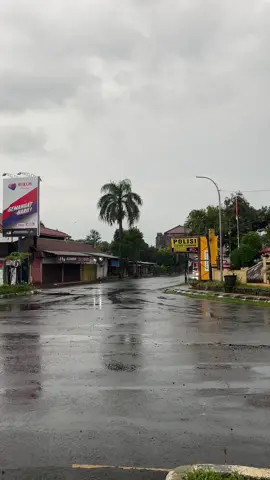 5 unit mlayu kota istimewah#fyp #cinematicvideo #busindonesia #erikajayatransindo #pariwisata #maniabus #cinematicbus #busmaniacommunity #galerybusindonesia @iyan gathol @usroksinyo 