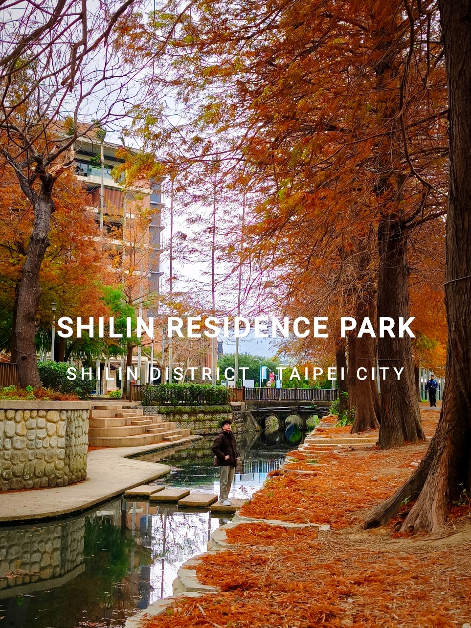 Autumn Magic at Shilin Residence Park Looking for autumn foliage in the city of Taipei? Shilin Residence Park has you covered. The park transforms into a picturesque haven of red and golden hues. Stroll through the Maple Corridor, admire the reflection pools, and soak in the historic charm of the former Chiang Kai-shek residence. Don’t forget to bring your camera and end your visit with a food trip at the nearby Shilin Night Market. #whenintaiwan🇹🇼 #shilindistricttaipei  #autumnvibes 