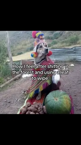So relaxing🧙‍♂️ #fypp #funny #shamandog 