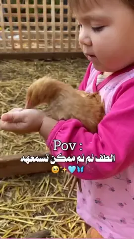 الطف نم نم ممكن تسمعه🥰😍#trending #fyp #like #viral #tren #tiktokarab #foryoupage #explorepage #CapCut #اكسبلور #trendin #trend #fypシ゚viral #capcut #WinterVibesبود_توك #fypシ 