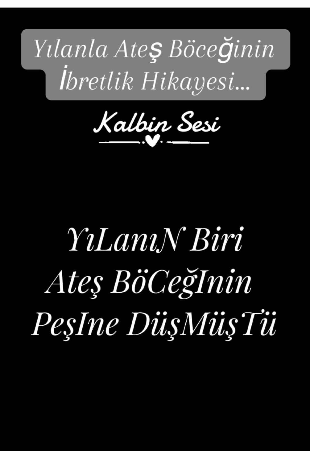 #fyp #keşvet #faypageyou #fypシ゚viral🖤tiktok☆♡🦋 #anlamlıvideolar #şiir #ibretlik #yılanla #ateşböceğinin #hikayesi #CapCut 