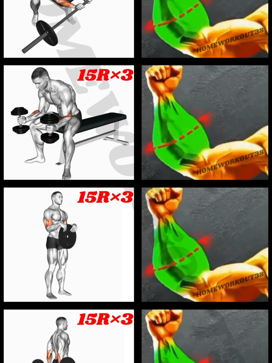 FOREARMS WORKOUT.#forearmworkout #workout #homeworkout #Fitness #sports #2025 #LearnOnTikTok @HOMEWORKOUT @HOMEWORKOUT @HOMEWORKOUT 