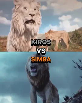 Kiros ( Mufasa Lion King ) 🦁👑            VS Simba ( Lion King ) 🦁👑!!!! #lions #king #losmapogos #mufasa #truekings #kiroslionking #simba #mufasalionking #battle #1vs1 