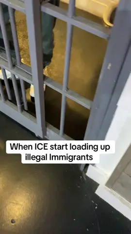 Meanwhile in America 