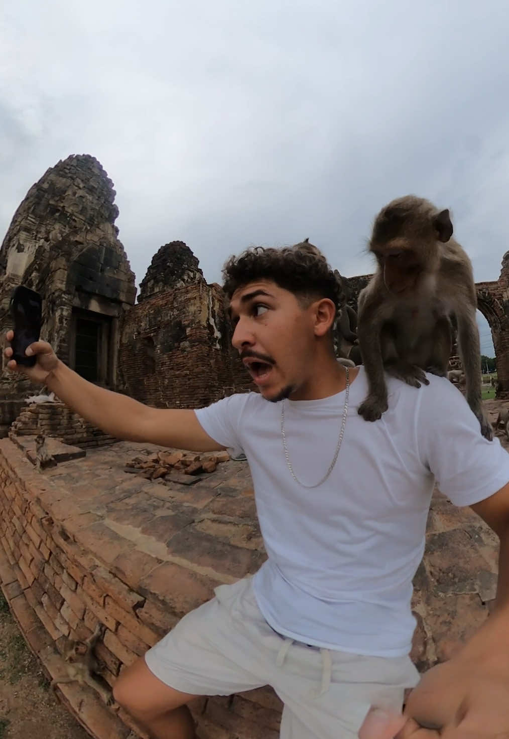 When I got attacked by a monkey…  #monkey #wildlife #fyp #funnyvideo #fypシ #asia #animals #funnyanimals