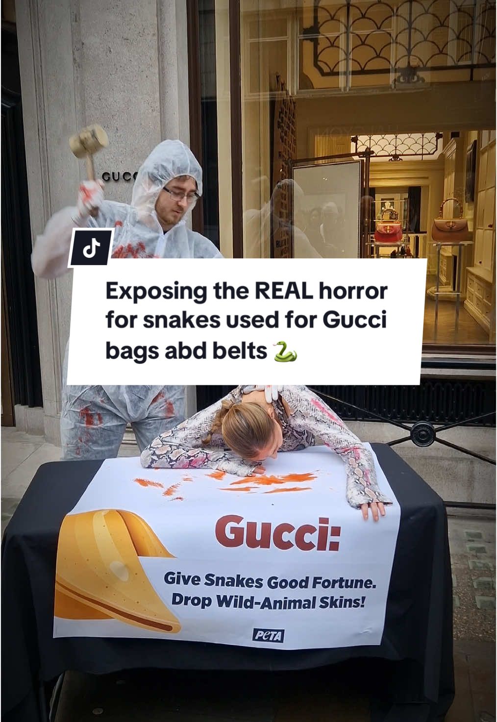 🐍 The Year of the Snake is here, but for pythons, there’s nothing to celebrate. Luxury shouldn’t mean torture. Gucci, it’s time to ditch cruel wild animal skins and embrace innovative materials that don't harm animals. 🐍💔 Compassionate shoppers don’t want blood on their hands – or their bags. #YearoftheSnake #snake #snakes #gucci #guccibag #guccibelt #guccigang 