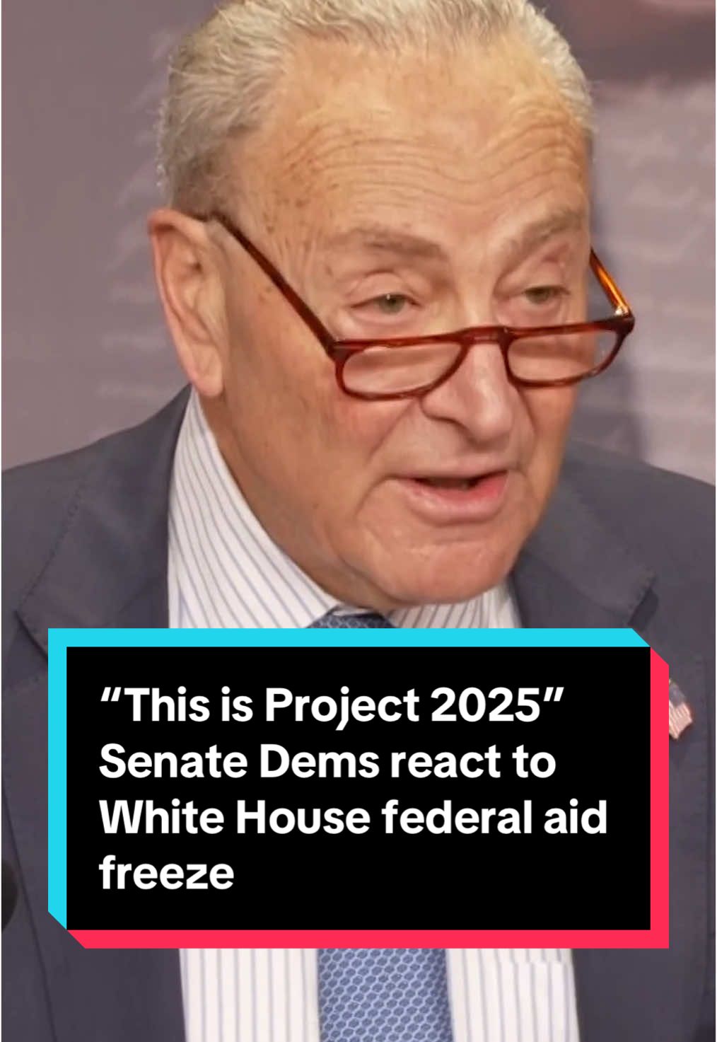 Senate Minority Leader Chuck Schumer denounces President Trump’s freezing of all federal aid. “Plain and simple, this is Project 2025.” #trump #politics #news #government #democrats