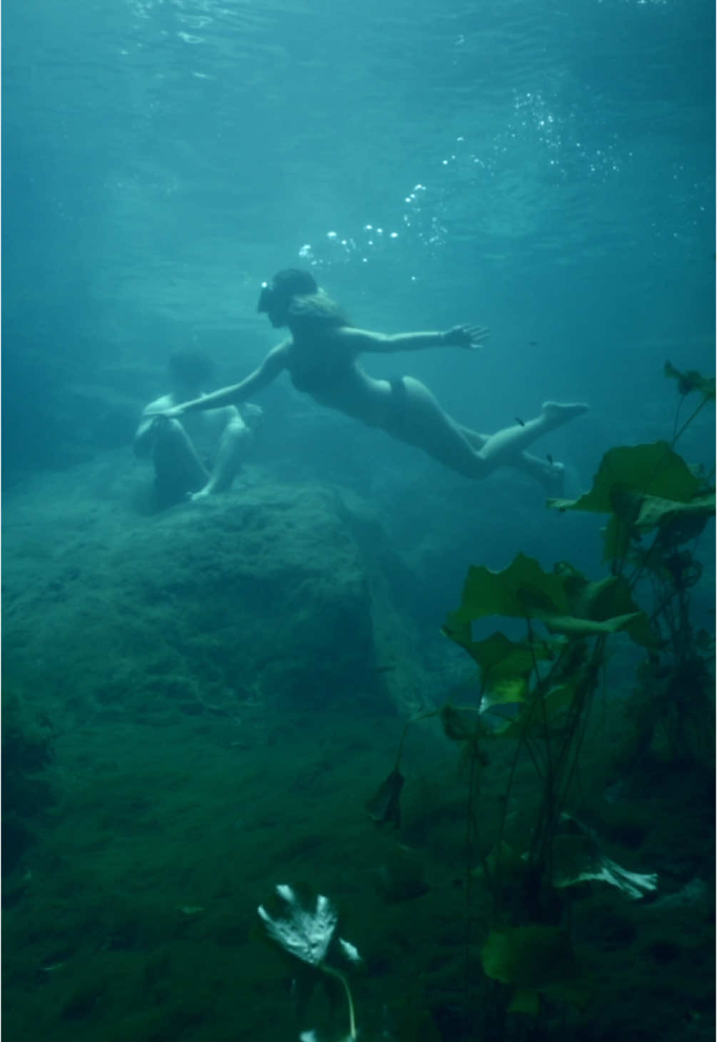 🌿 Dive into the Adventure of a Lifetime! 🌿 Ready to explore the hidden treasures of the Mayan jungle? 🏞️ Our Cenote Adventuring Tour is the ultimate way to uncover Cancun’s breathtaking natural wonders! ✨ Here’s what awaits you: ✅ 3 stunning cenotes: Waterfall, zipline, and cavern adventures 🌊 ✅ Tequila tasting in the cenote 🍹 ✅ Mayan snack & cultural performance 🌮🕺 ✅ Expert bilingual guides for a safe and enriching experience 🌟 📅 Choose your schedule: 9:30 AM or 1:30 PM 🌎 Available in English & Spanish 🚌 Round-trip transportation included 💧 Why join us? Discover crystal-clear waters, zipline thrills, and the serene beauty of sacred cenotes—all in a private, exclusive setting. Perfect for nature lovers and adventure seekers alike! 🎟️ Book your Cenotes Cancun Adventure now and make unforgettable memories in the heart of the Mexican Caribbean! 🌴 #CenoteAdventuring #CancunTours #ExploreTheJungle #AdventureAwaits #RivieraMaya 