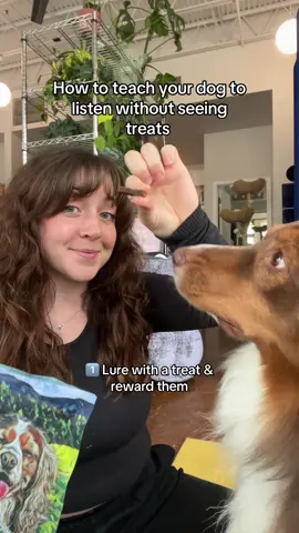 #stitch with @hundencami hi! Im Taylor, and I’m here to teach all of tiktok how to train your dogs 🥰🐶🐾 drop any Q’s in the comments! #dogtraining101 #puppydog #howtotrainapuppy #dogtreats #underrateddogtrainingtips 