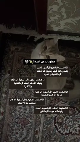 #نصائح_مفيدة #نصائح_دينيه #tiktok #tiktok 