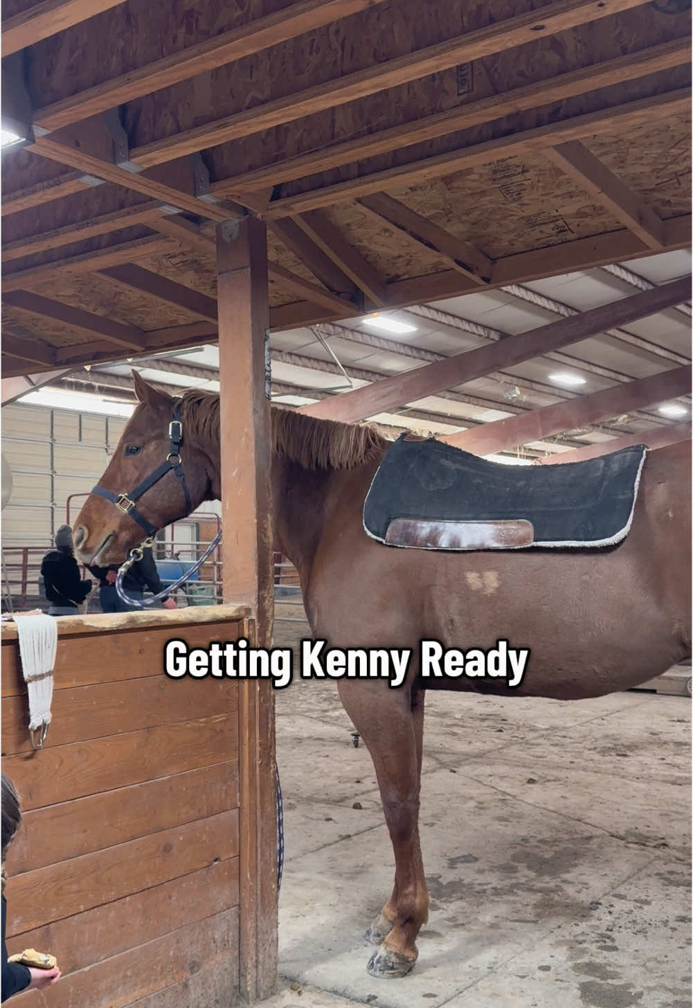 The dance with the cookie 🍪 #fyp #viral #horsesoftiktok #horse #barnlifeisthebestlife #farmlife #horsetok #toddlersoftiktok #quarterhorse #toddlermom 