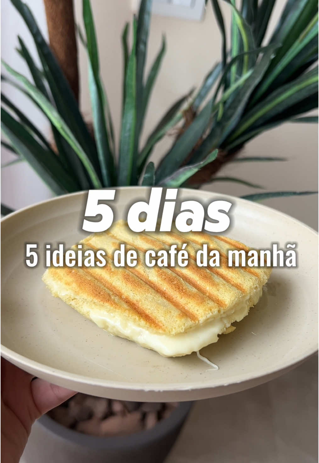 Dia 2 da série: 5 ideias de café da manhã saudável! ✨ Hoje trouxe um pãozinho de aveia fácil e rápido que fica incrível! 😍 Olha só como é simples: 👉 Misture: 🥚 2 ovos 🥄 2 colheres de sopa de farinha de aveia 🧂 1 pitadinha de sal ✨ 1 colherzinha de fermento biológico Leve ao microondas por 2 minutos e 20 segundos 🕒. Depois, é só cortar ao meio, rechear com queijo branco 🧀 e torrar na sanduicheira até ficar douradinho! 🥪 #paodeaveia #cafedaman #receitafit #aveia