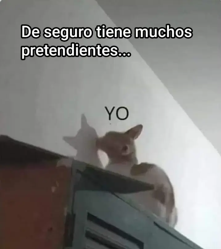 jajajaja, yo