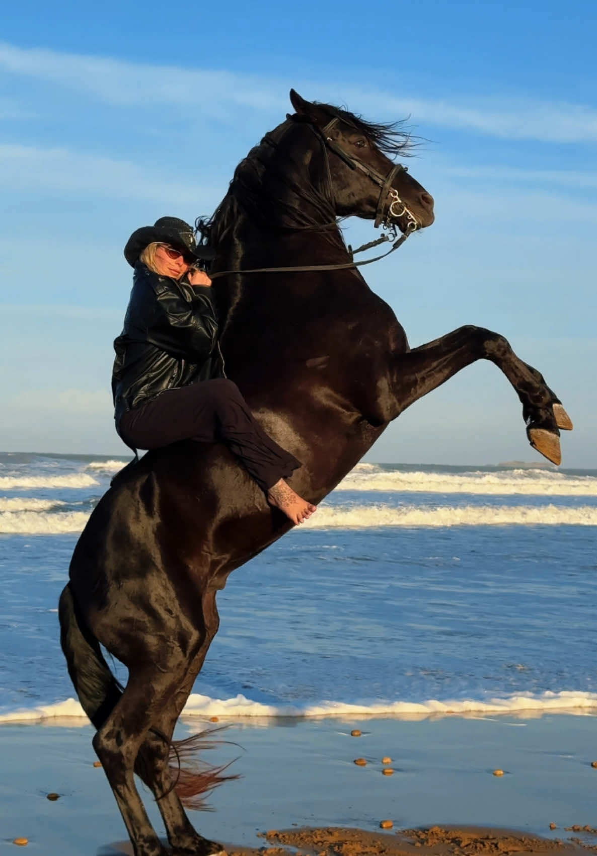 Black stallion  #horseoftiktok #foruyou #explore #marrakech #horse #traveltiktok #essaouira #trending 