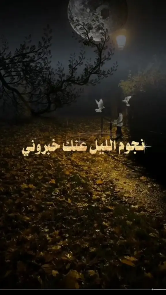 نجوم الليل عنك خبروني#ابوبكر_سالم_بلفقيه_نغم_خالد_لاينافس