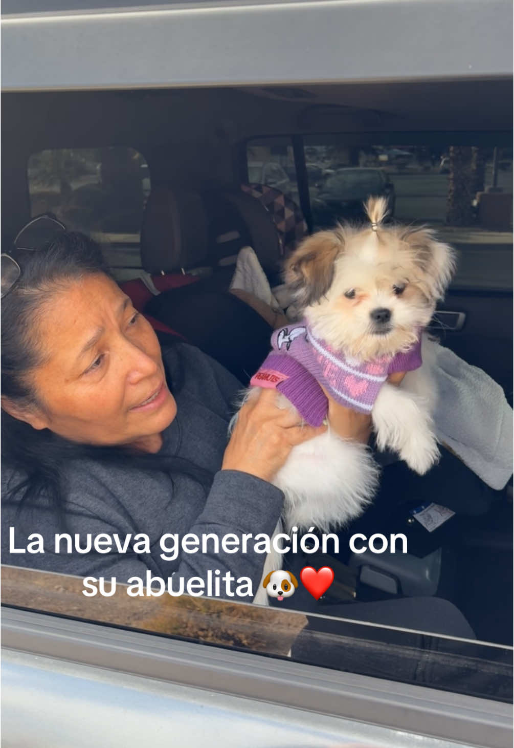 Grandma and pixie✨ #shihtzu #shihtzusoftiktok #perritos #abuelitas #viral #trending 