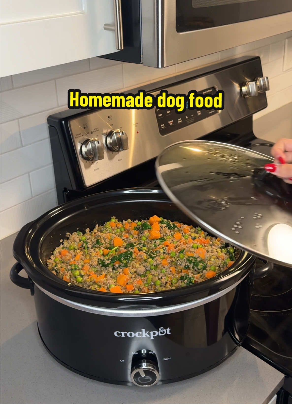 Healthy dog, Happy dog🩵 @Dog is Human   #homemade #dogfood #toypoodle #maltipoo #dogishuman #crockpotrecipes #dogmom