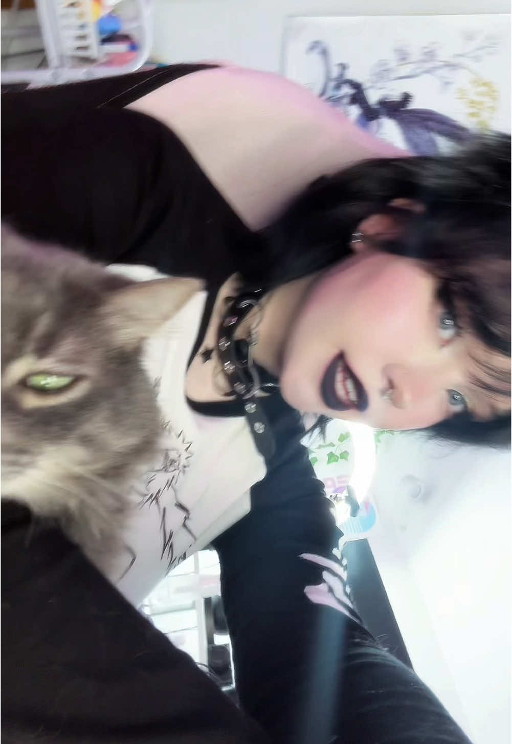 She looks so done with me tbh 😭#altgirl #gothgirl #altfashion #2020rewind #kemonomimi 