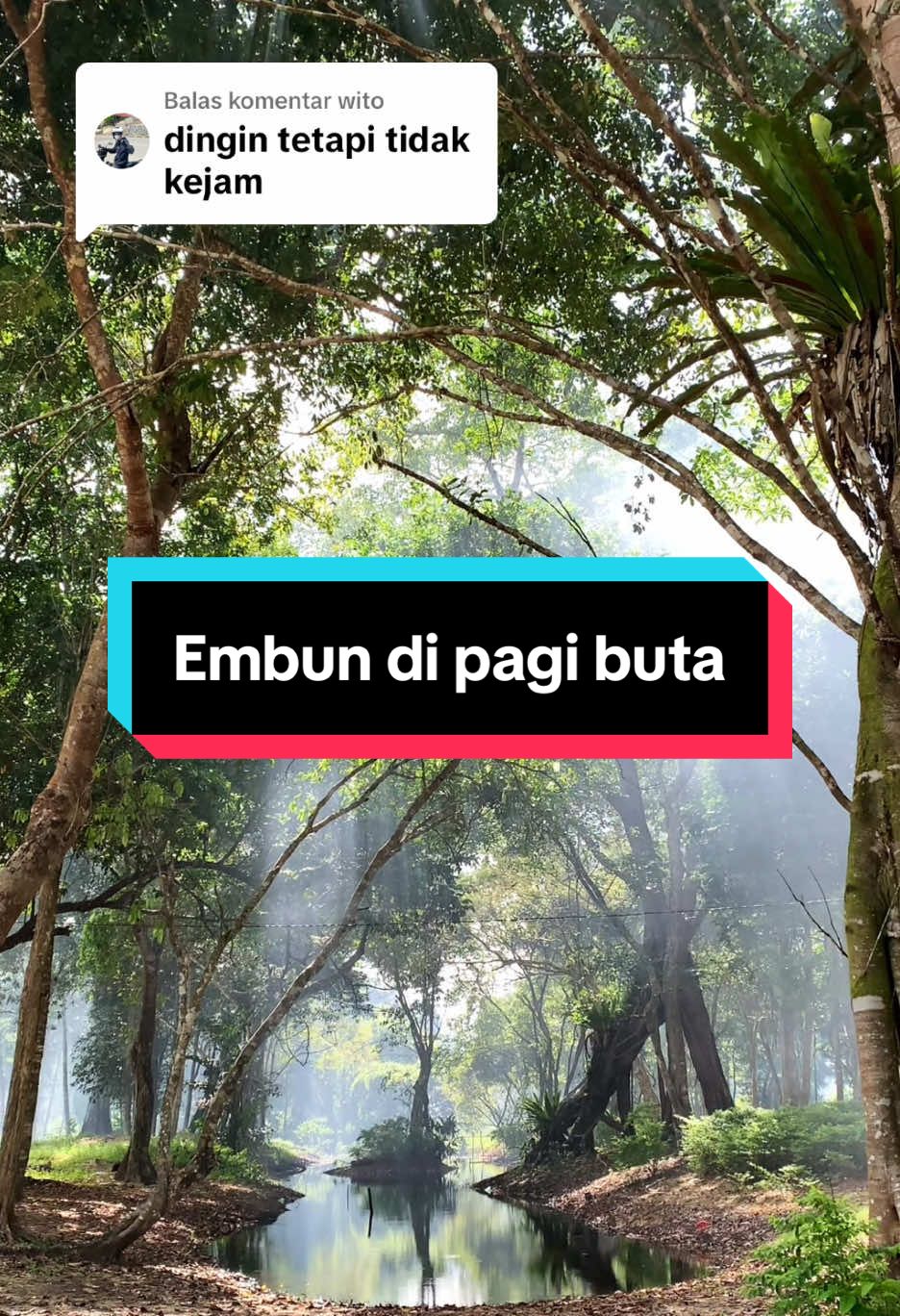 Membalas @wito Dingin namun menenangkan pikiran, suka ga vibesnya kalau berkabut gini ? 🫀✨🍃  #pantairindusamudra #wisatasambas #villatunggul #sebubus #paloh #sambas #sambaskalimantanbarat #wisatakalbar #wisatakalimantan #sambaspride⚡ #wisatakalimantanbarat 