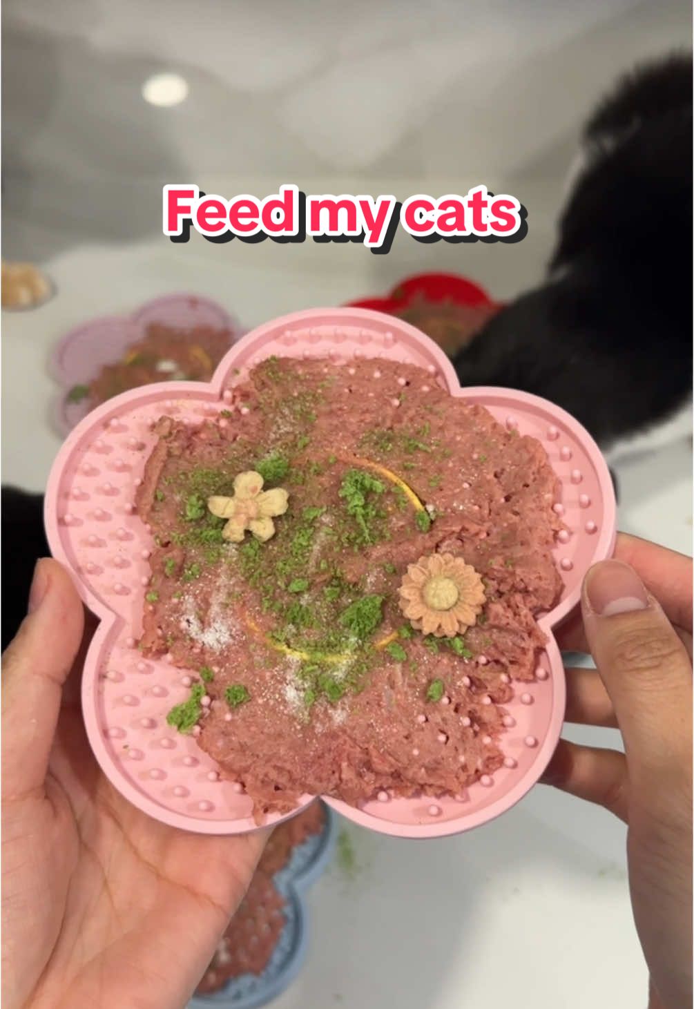 Long time no lick mat 🌸 #catfood #catfeeding #feedmycats #catasmr @Viva Raw @Petit Pawtisserie @Adored Beast Apothecary 