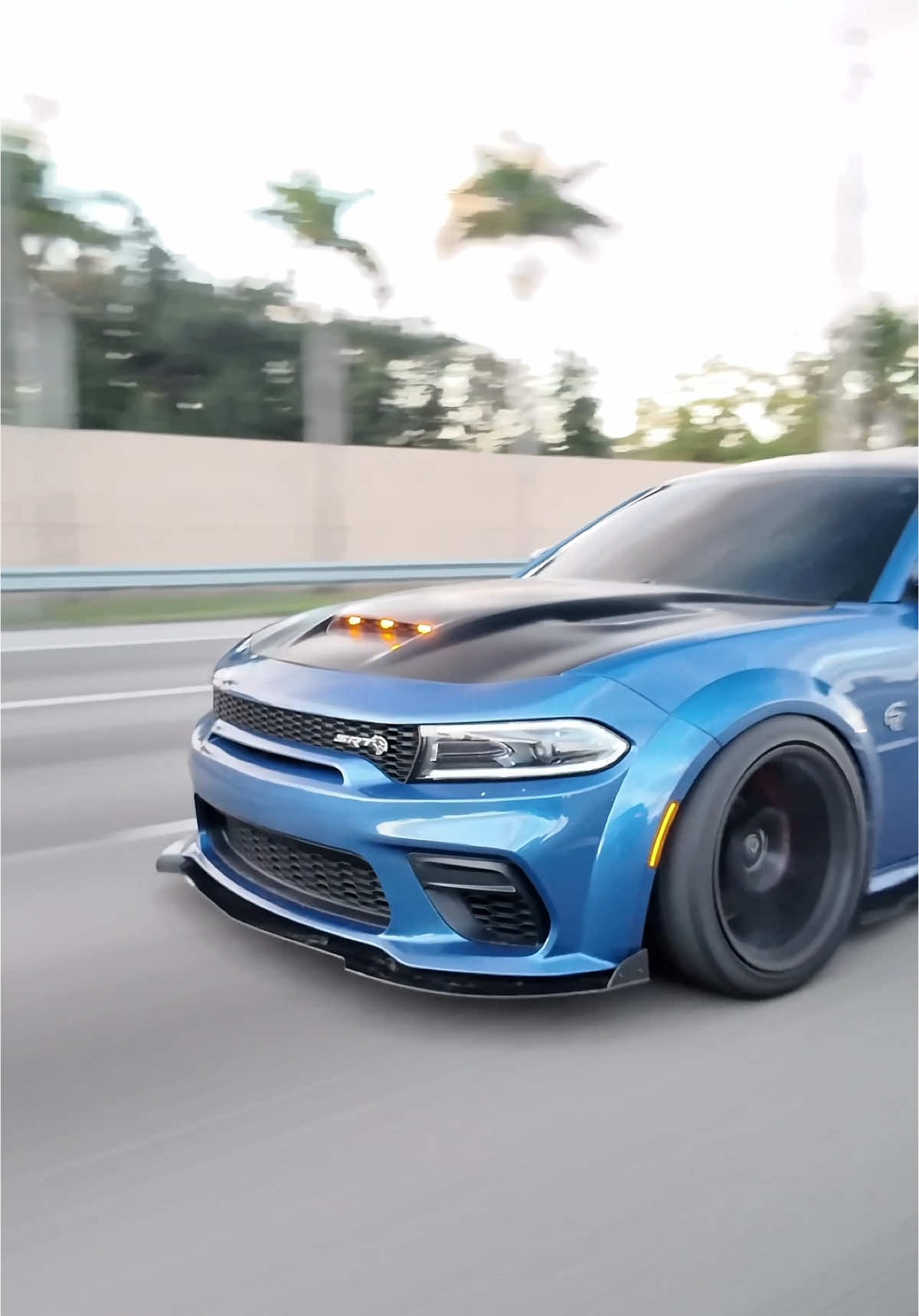 Hellcat’s Melody 🐾#creatorsearchinsights #dodge #hellcat #hellcatcharger 