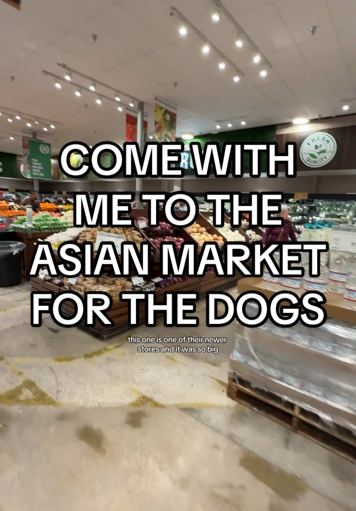 Let’s go to the local Asian market to buy stuff for the dogs🐶🐾 #petstore #dogfeeding #dogfood 