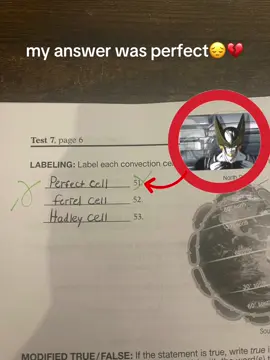 i should have gotten it right #capcut #dbz #dragonball #fyp #fypppppppppppppp #fypシ゚viral #cell #perfectcell #animetiktok #relatable #meme #edit #viral #