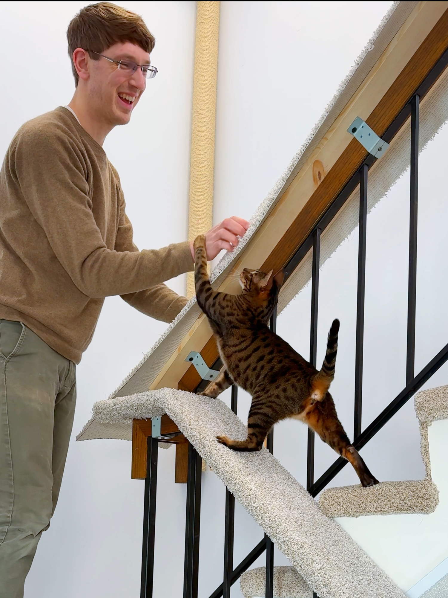 Handrail Shelf for a Cat #rajaanddavid