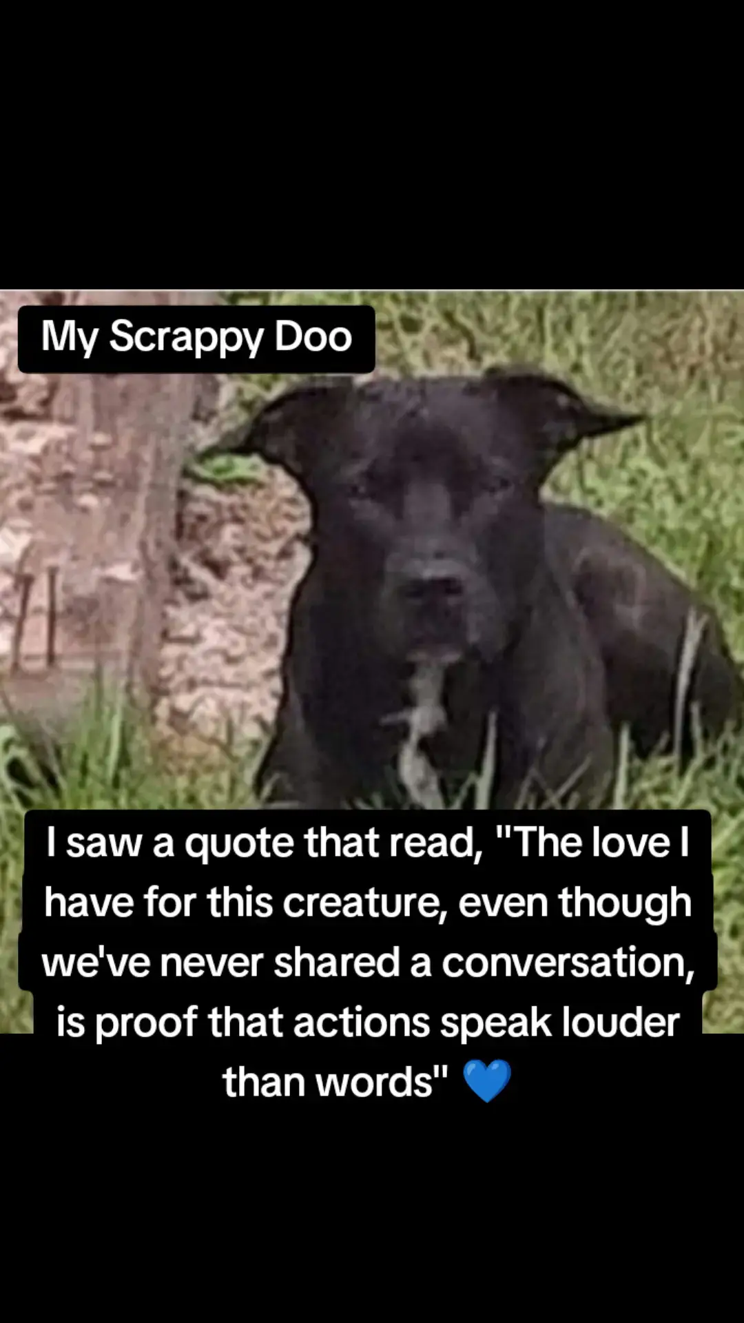 #puppylove 