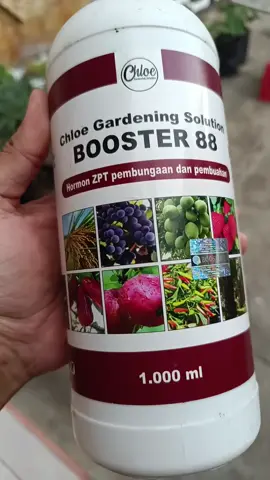 Pupuk Booster 88 memacu pembungaan dan pembuahan  #pupuk #pupukorganik #pupukbooster88 #boosterbuah #booster88 #booster76 