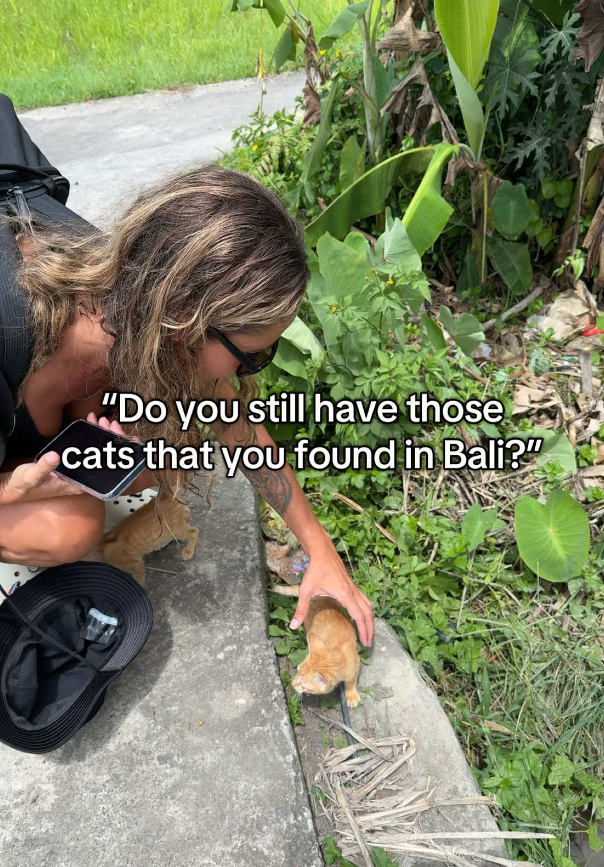 More Cheeto and nacho updates coming this year! I still have the babies. We’re moving houses at the moment so they’re on a little stay cation until next week 🫶🏼🐱🐱 #kittenrescue #catrescue #balicat #canggu #bali