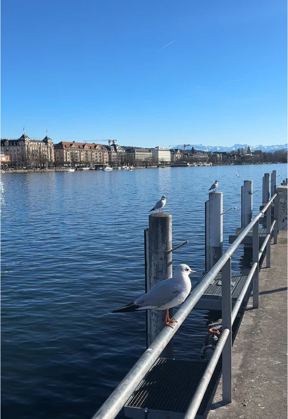 #zürich #zürich🇨🇭 #schweiz🇨🇭 #schweiz #switzerland🇨🇭 