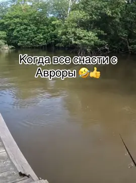 Приколы на рыбалке. Рыбалка на хищника. #рыбалкаудалась #рибалка #рибалкаукраїна #рибалка2024 #цель100к #рыбалканаднепре #рыбалканакарпа  #рыбалкавукраине #рыбак #ловлякарпа #рыбалкавукраине #рыбалка #рыболов #рибалкавкайф #рыбалкавкайф #приколынарыбалке #ловлякарпанабоковойкивок #ловлякарасянапоплавок #ловлякарпалетом #рыбалканакарпалетом #ловлящуки #рыбалканащуку #ловляокуня #рыбалканаокуня #рыбалканавоблер #приколы #топ #рек 