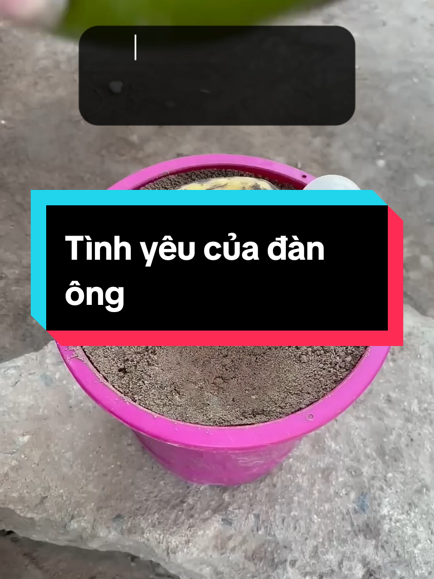 Bạn đã quên người ấy chưa? #trietlysong #trietlycuocsong #sachhay #baihoccuocsong 