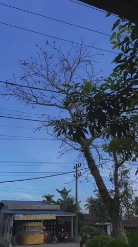 Ang ang ang#5tpmenolakpunah #5tpgank🚀 #vegarnew #fyppppppppppppppppppppppp #berandatiktok #Vegar #cinematic
