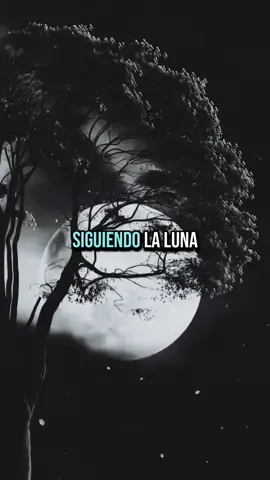 #losfabulososcadillacs #rockenespañol #rock #siguiendolaluna #letrasdecanciones 