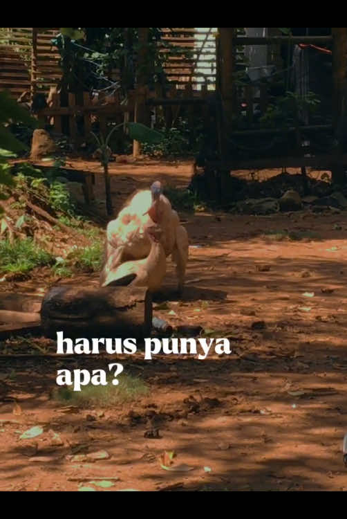 Makasih jagat udah memotifasi