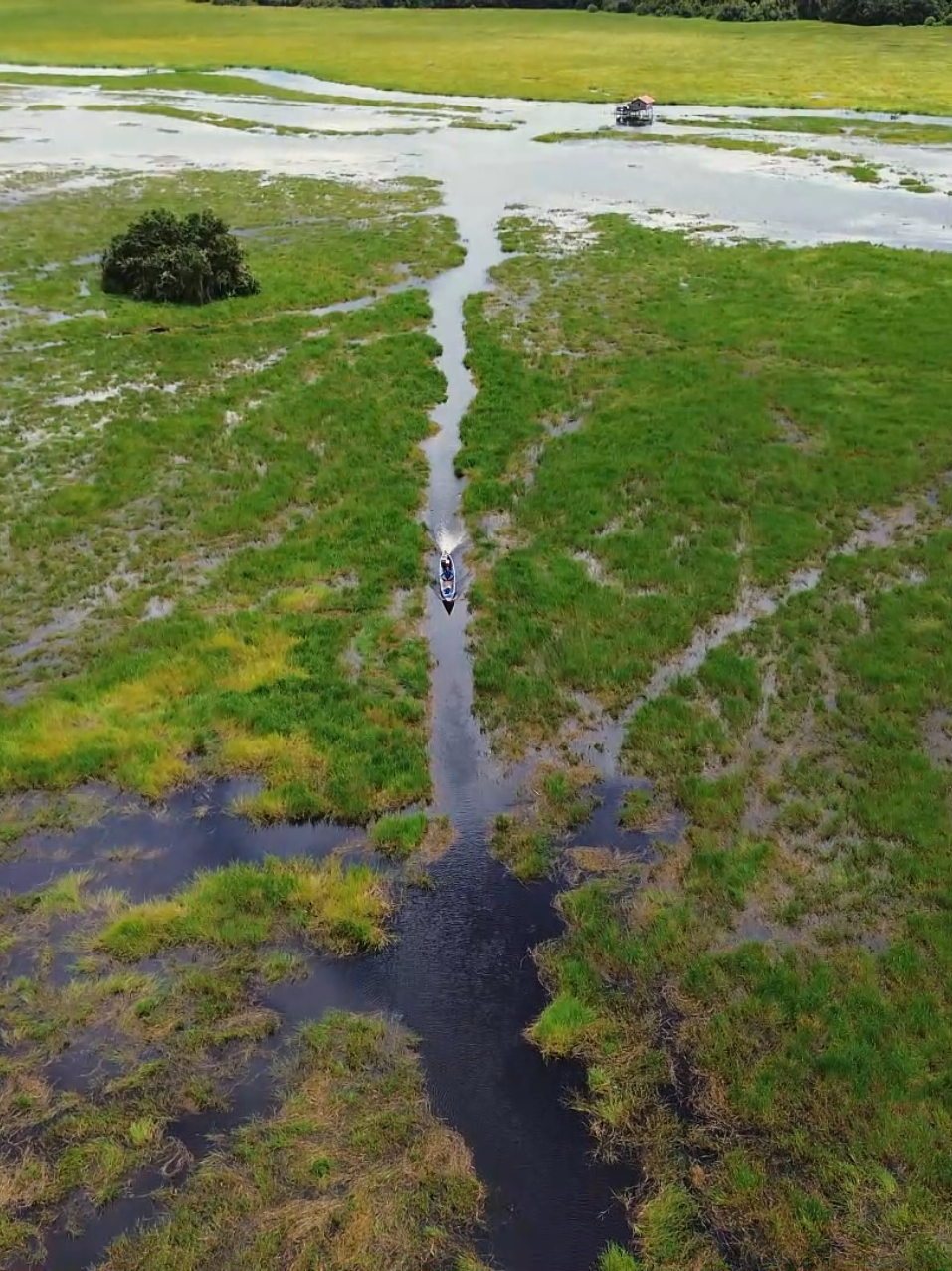 Pesona area wisata yang terletak di Desa Pulau Patai  Kab. Barito Timur Kalimantan Tengah Rabu, 29 Januari 2025  11.30 Wib #shotondjimini3  #dronevideo #droneshots #droneview #dronetamianglayang #pulaupatai #tamianglayang #kalimantantengah #baritotimur 