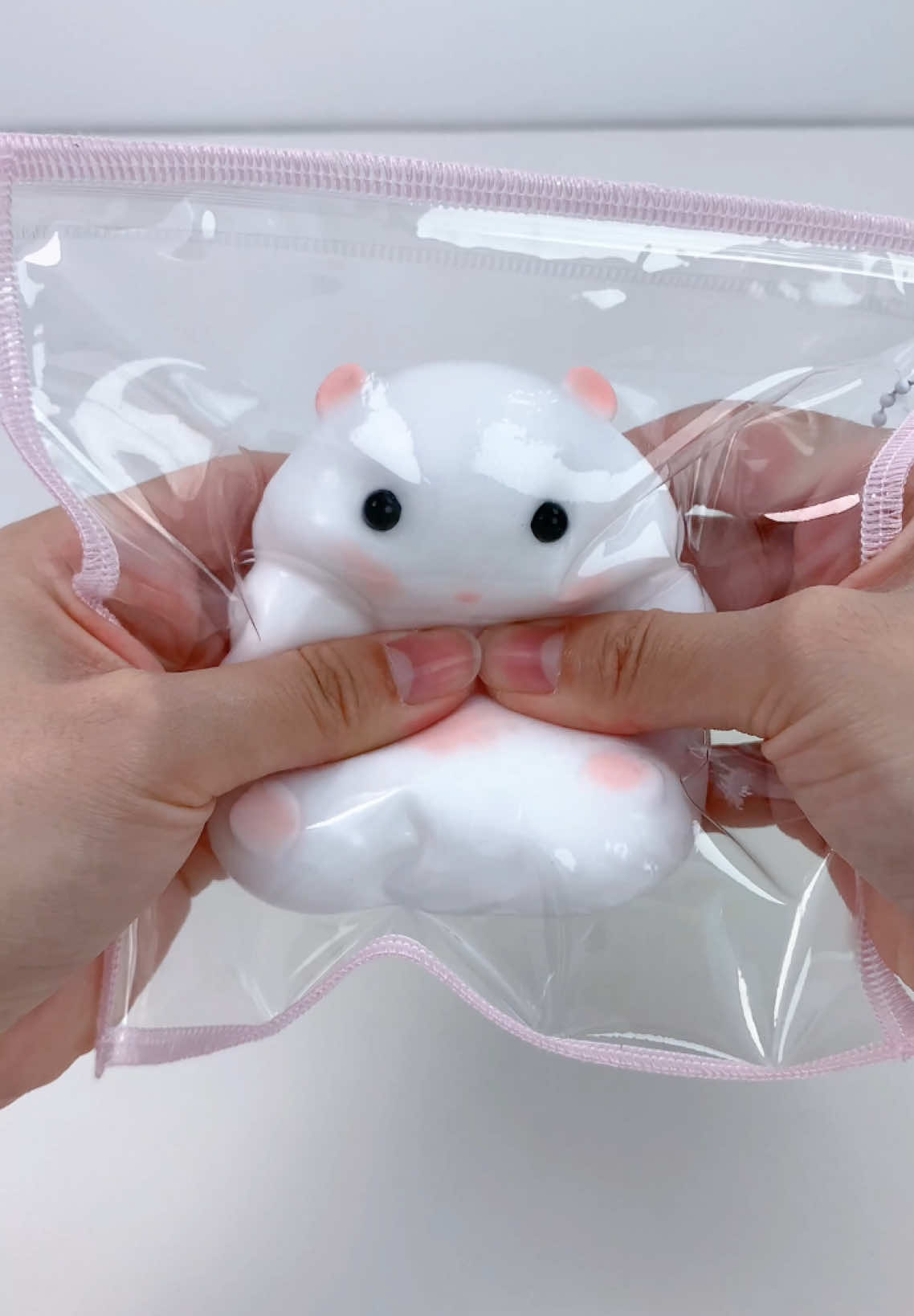 FUFUSQUISHY ASMR 🐭🐭Cute Chinchilla