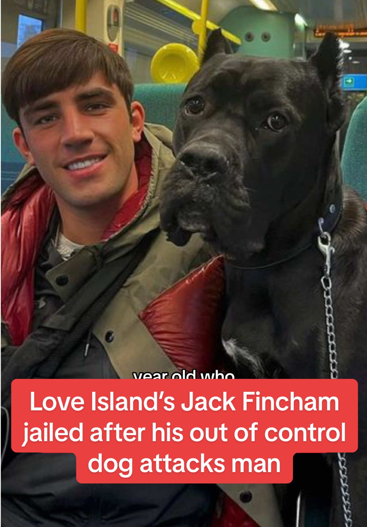 Love Island’s Jack Fincham jailed after his out of control dog attacks man #dailymirror #breakingnews #fyp 