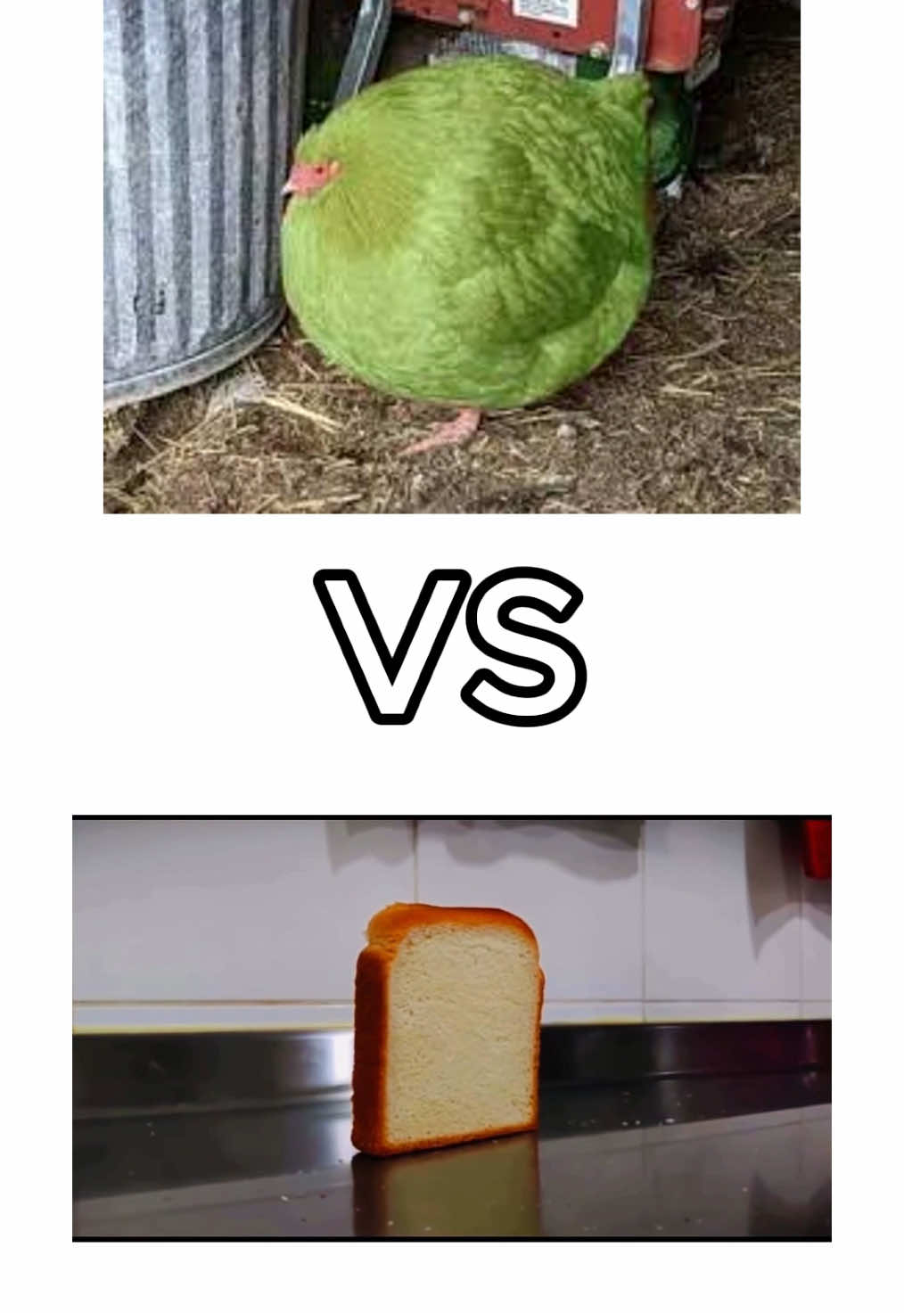 ¡Duolingo vs una tajada de pan en una batalla épica! 🥖🔥 ¿Quién ganará? ¿El poder del idioma o la magia del pan recién horneado? 🤔💥 ¡No te lo pierdas! 😎🎤 #rap #Freestyle #batalladerap #comedia #humor #parati #freestylerap #fms #redbull #epicasbatallasderap #batallasderap #duolingo #duolingoespanol #pan @DuolingoEspanol 