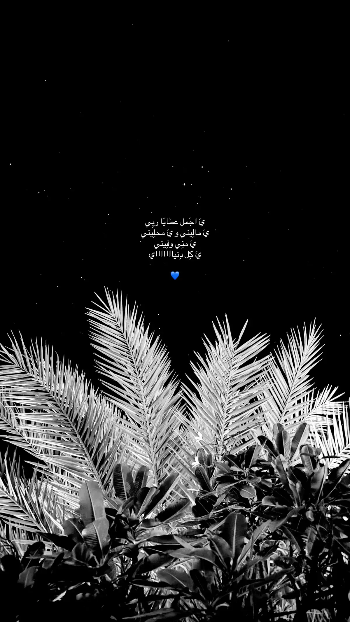 #احبك #محبوبي #يديمك_لي  #4u 💙💙💙💙💙💙💙.