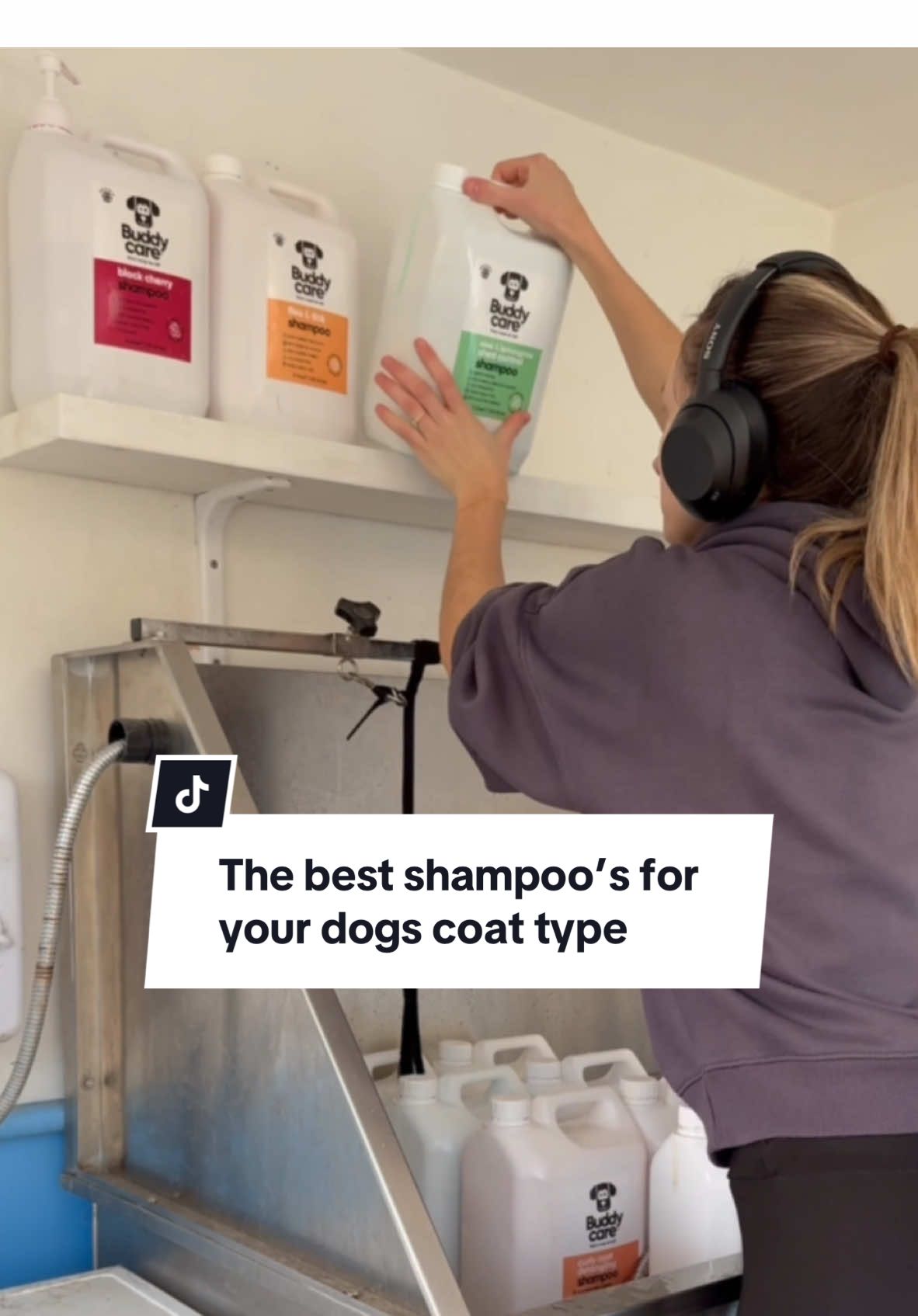 If you’re stuck on what shampoo is best for your breed of dog then this video is for you 🐶 #doggrooming #doggroomer #refill #dogbreeds #dogsoftiktok #dogshampoo #buddycare @Buddycare 