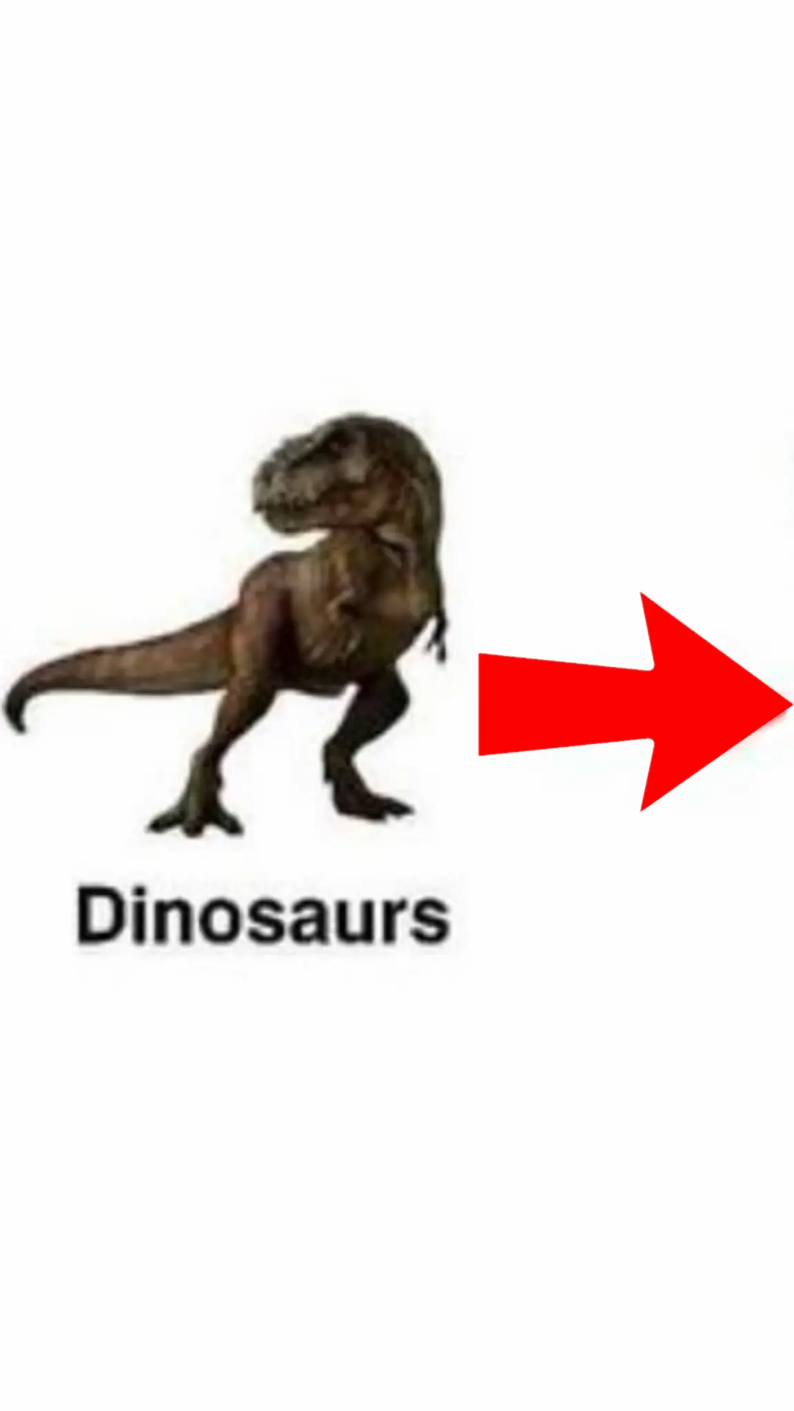 #dinosaur #plastic #fyp #omg #🦖  Dinosaurs are a diverse group of reptiles[note 1] of the clade Dinosauria. They first appeared during the Triassic period, between 243 and 233.23 million years ago (mya), although the exact origin and timing of the evolution of dinosaurs is a subject of active research. They became the dominant terrestrial vertebrates after the Triassic–Jurassic extinction event 201.3 mya and their dominance continued throughout the Jurassic and Cretaceous periods. The fossil record shows that birds are feathered dinosaurs, having evolved from earlier theropods during the Late Jurassic epoch, and are the only dinosaur lineage known to have survived the Cretaceous–Paleogene extinction event approximately 66 mya. Dinosaurs can therefore be divided into avian dinosaurs—birds—and the extinct non-avian dinosaurs, which are all dinosaurs other than birds. Dinosaurs are varied from taxonomic, morphological and ecological standpoints. Birds, at over 11,000 living species, are among the most diverse groups of vertebrates. Using fossil evidence, paleontologists have identified over 900 distinct genera and more than 1,000 different species of non-avian dinosaurs. Dinosaurs are represented on every continent by both extant species (birds) and fossil remains. Through the first half of the 20th century, before birds were recognized as dinosaurs, most of the scientific community believed dinosaurs to have been sluggish and cold-blooded. Most research conducted since the 1970s, however, has indicated that dinosaurs were active animals with elevated metabolisms and numerous adaptations for social interaction. Some were herbivorous, others carnivorous. Evidence suggests that all dinosaurs were egg-laying, and that nest-building was a trait shared by many dinosaurs, both avian and non-avian. While dinosaurs were ancestrally bipedal, many extinct groups included quadrupedal species, and some were able to shift between these stances. Elaborate display structures such as horns or crests are common to all dinosaur groups, and some extinct groups developed skeletal modifications such as bony armor and spines. While the dinosaurs' modern-day surviving avian lineage (birds) are generally small due to the constraints of flight, many prehistoric dinosaurs (non-avian and avian) were large-bodied—the largest sauropod dinosaurs are estimated to have reached lengths of 39.7 meters (130 feet) and heights of 18 m (59 ft) and were the largest land animals of all time. The misconception that non-avian dinosaurs were uniformly gigantic is based in part on preservation bias, as large, sturdy bones are more likely to last until they are fossilized. Many dinosaurs were quite small, some measuring about 50 centimeters (20 inches) in length. The first dinosaur fossils were recognized in the early 19th century, with the name 