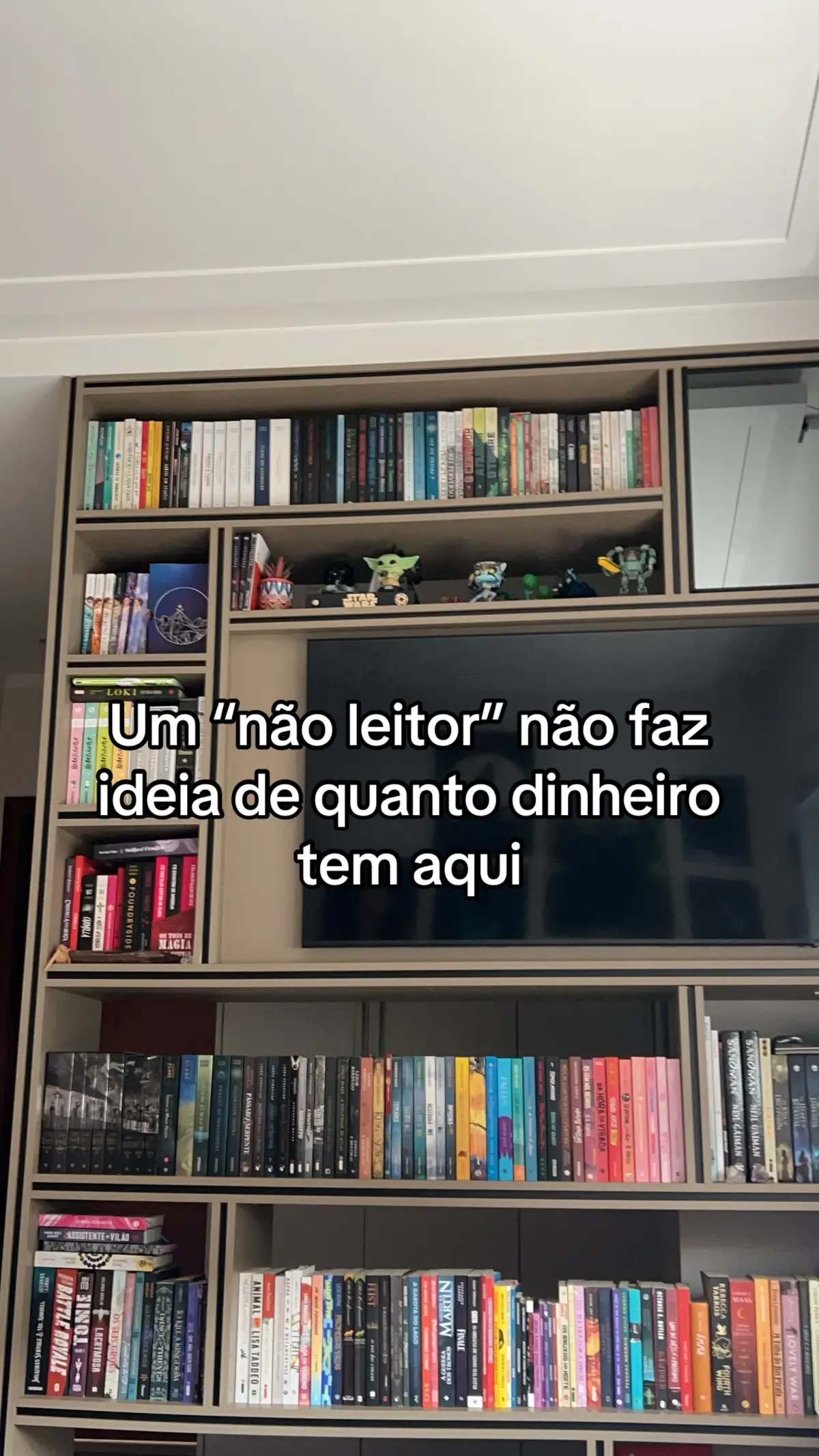 #livros #BookTok #booktokbrasil #booktoker #trend #estantedelivros 