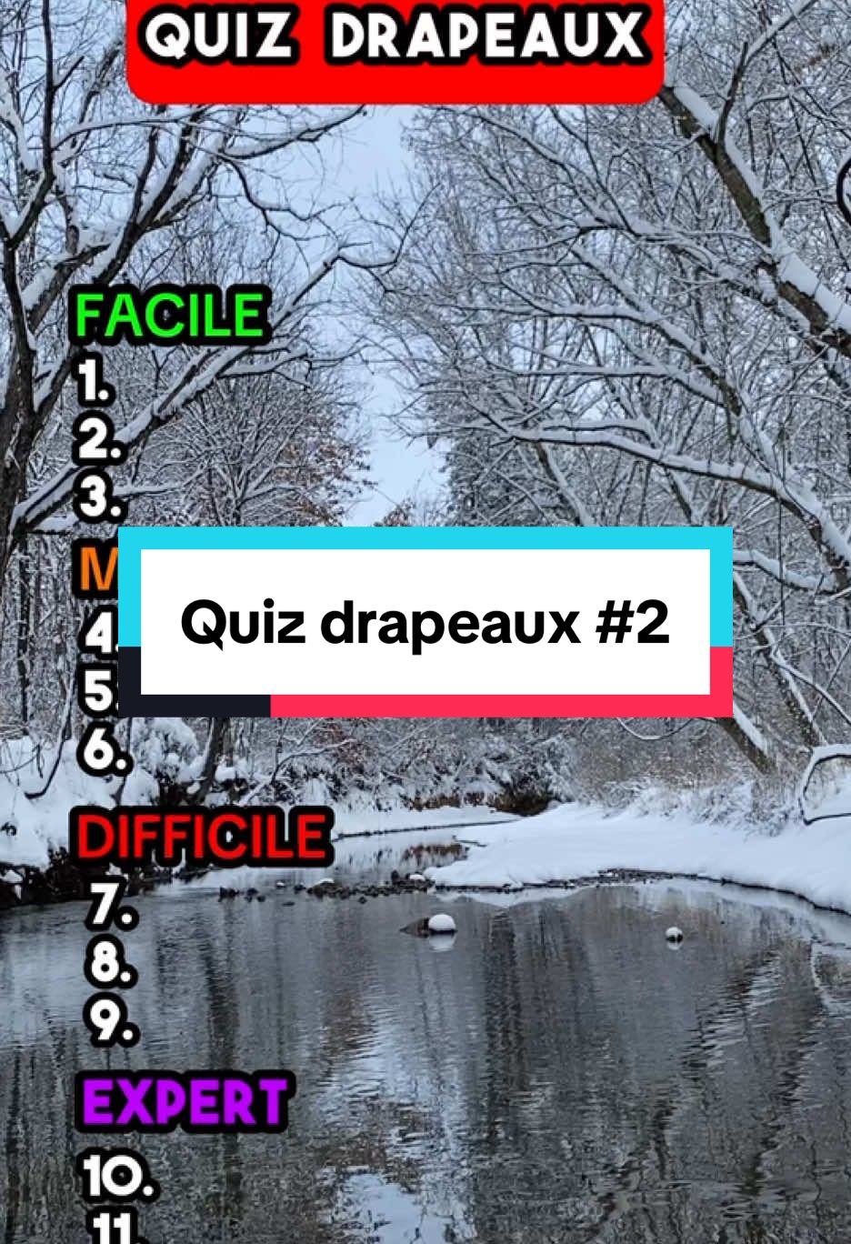 Quiz drapeaux ✅ | #quiz #culturegenerale #quiztime 